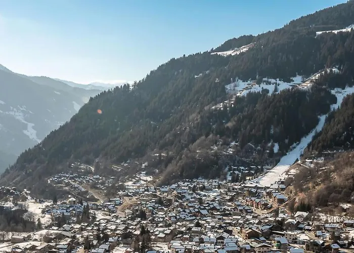 Apartment Le Centre - 2 Pieces Pour 4 Personnes Mae-3338